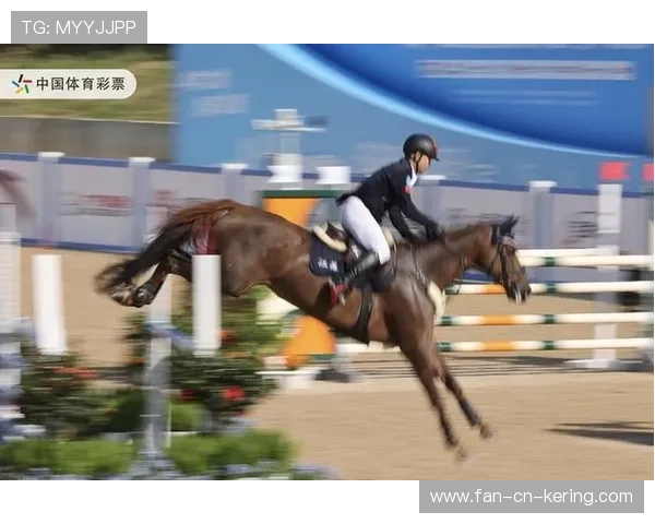 西班牙马术协会与国际马术联合会合作，举办国际马术交流活动，促进技术交流。